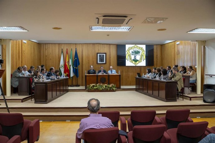 Pleno del Ayuntamiento de Mairena del Aljarafe.
