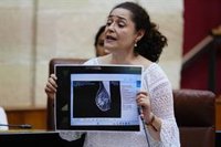 Nieto avisa a Moreno que la crisis de cribados le ha "destrozado" su imagen y Moreno pide dejar de decir "barbaridades"