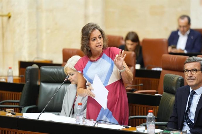 La consejera de Sostenibilidad y Medio Ambiente de Andalucía, Catalina García, en el Parlamento de Andalucía.