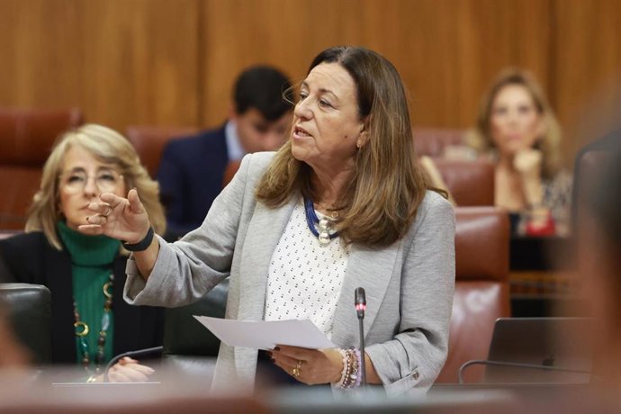 Archivo - La consejera de Desarrollo Educativo y Formación Profesional de la Junta de Andalucía, María del Carmen Castillo, durante una intervención en el Parlamento