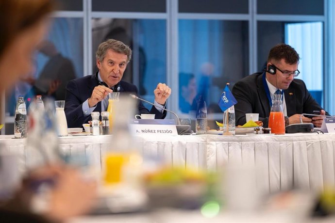El presidente del PP, Alberto Núñez Feijóo, durante su participación en la reunión del PPE en Bruselas