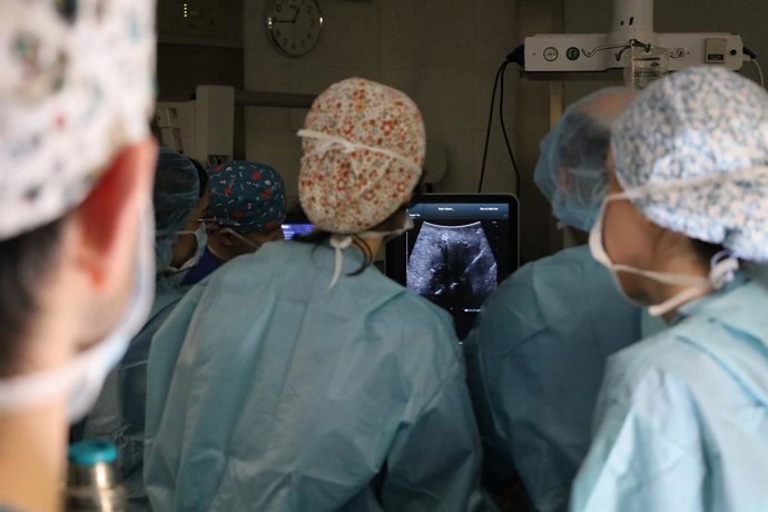 Equip de l'Hospital del Mar durant una electroporació 