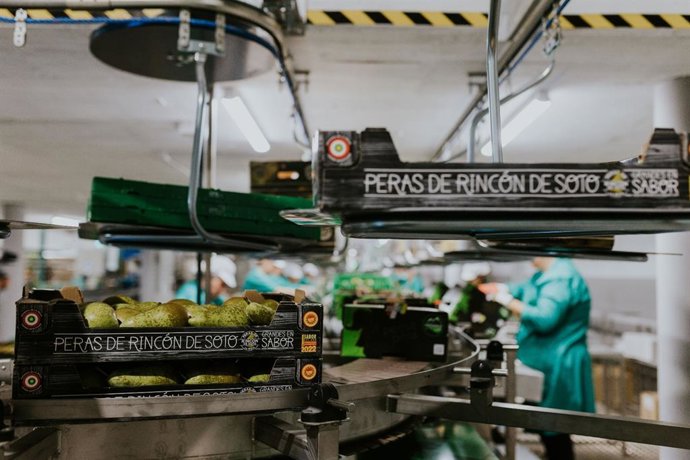 Peras de Rincón de Soto