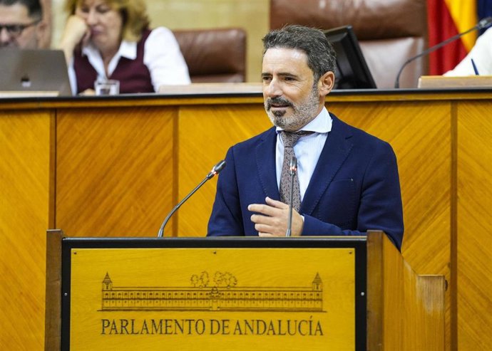 El diputado del PP-A José Ramón Carmona interviene en el Pleno del Parlamento andaluz.
