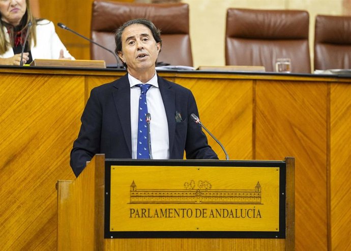 El diputado del Grupo Vox en Andalucía Benito Morillo, este jueves en el Pleno del Parlamento en la defensa de la PNL.