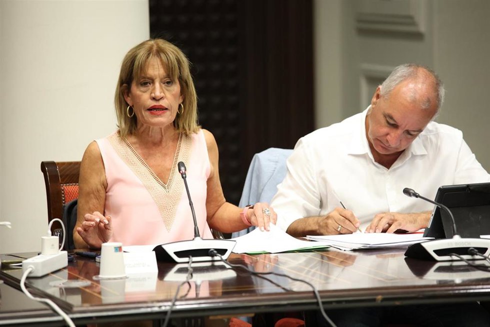 La portavoz económica de NC-bc, Esther Campos, y el portavoz parlamentario, Luis Campos