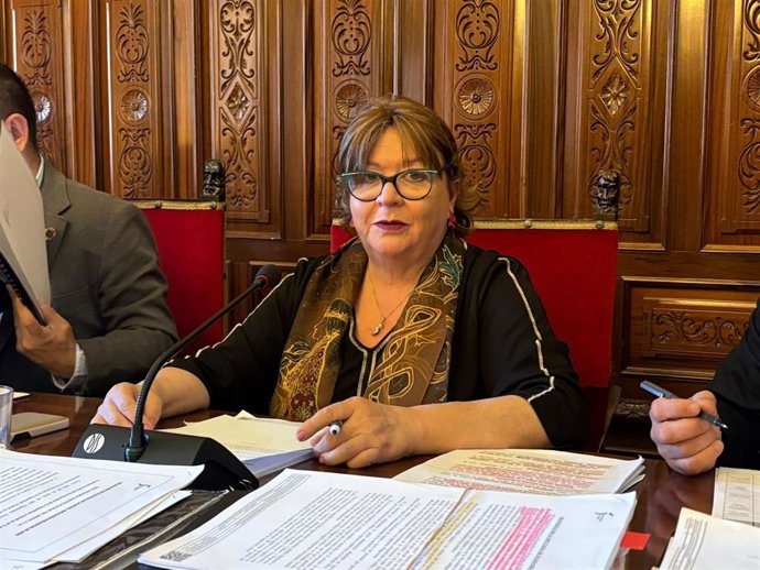 Pilar Parra en un pleno de Diputación de Jaén.