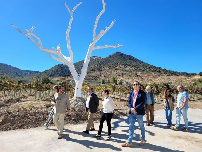 Visita a las Bodegas Gutiérrez Gámez