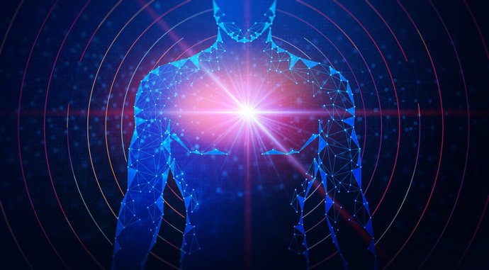 Archivo - Concepto de Bioenergética, sistema inmunológico, cuerpo humano