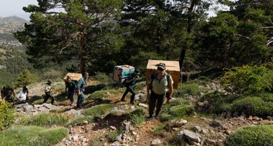 Es Andalucía - Granada