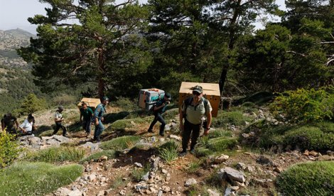 Es Andalucía - Granada