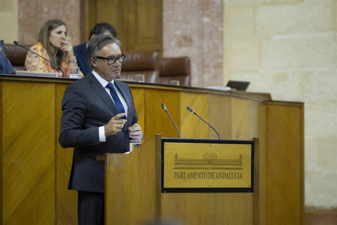 El portavoz de Vox en el Parlamento, Manuel Gavira