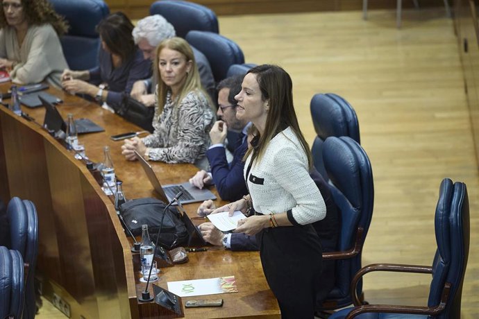 La portavoz de VOX en la Asamblea, Isabel Pérez Moñino.