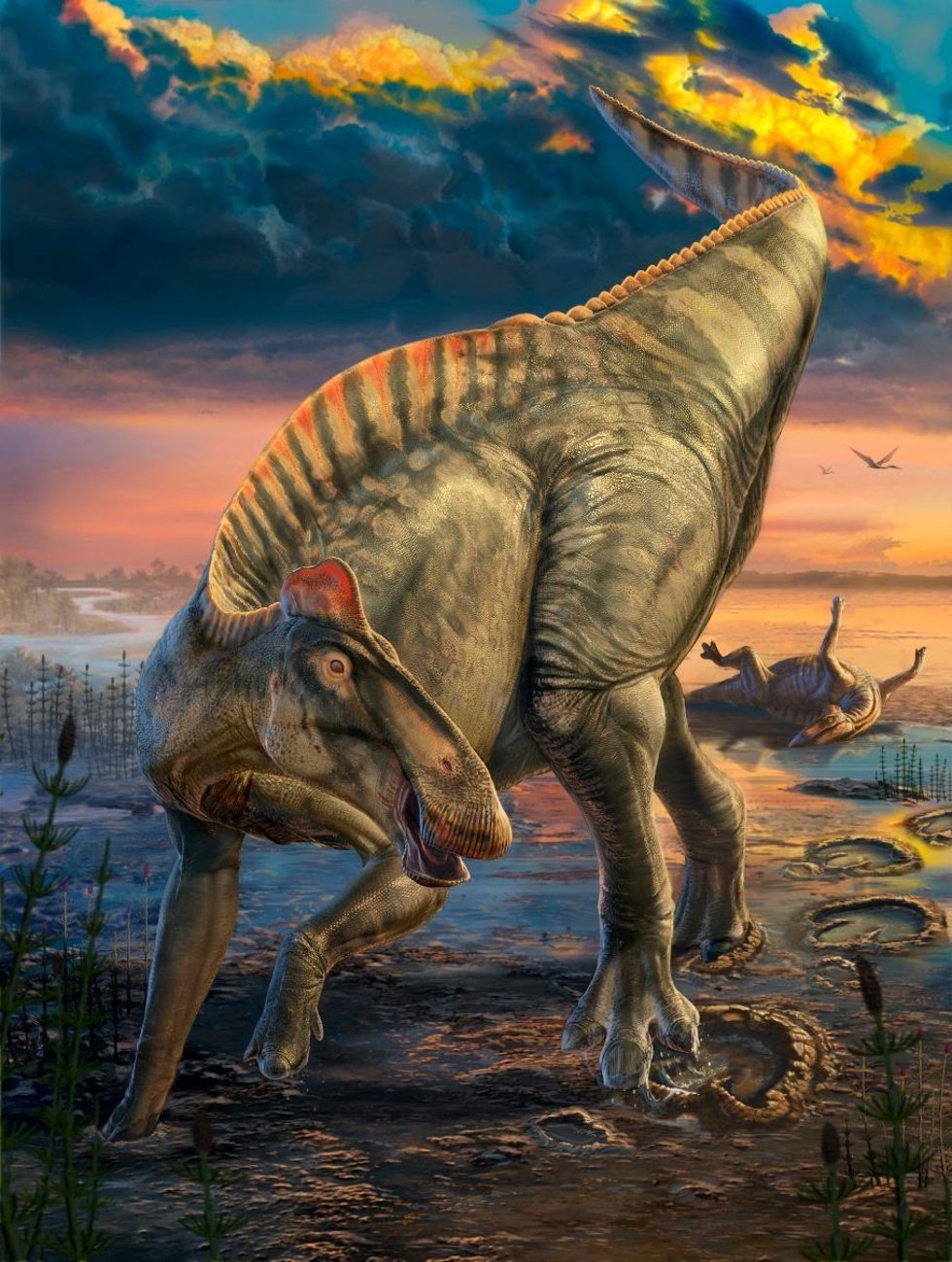 Reconstrucción del aspecto en vida de Edmontosaurus annectens.