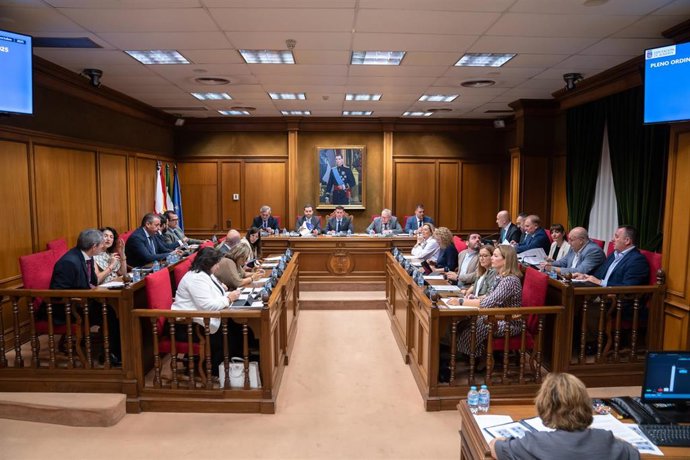 Pleno ordinario de la Diputación de Almería.