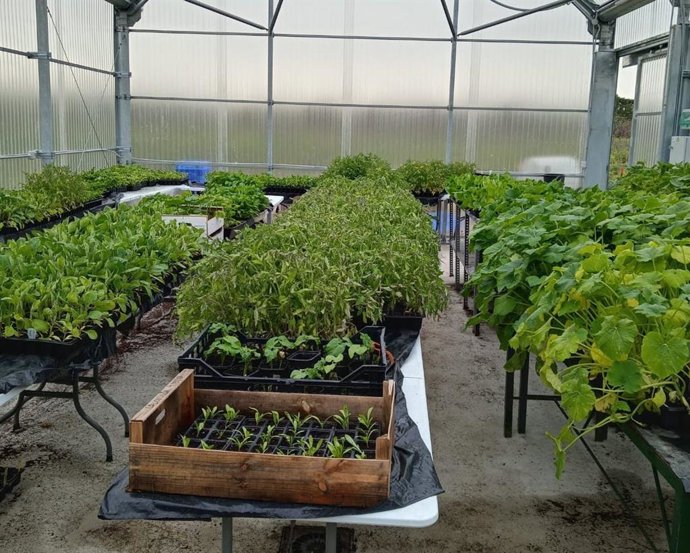 Archivo - Vivero de la Diputación de Cádiz.