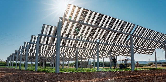 Planta agrivoltaica de la UPC.