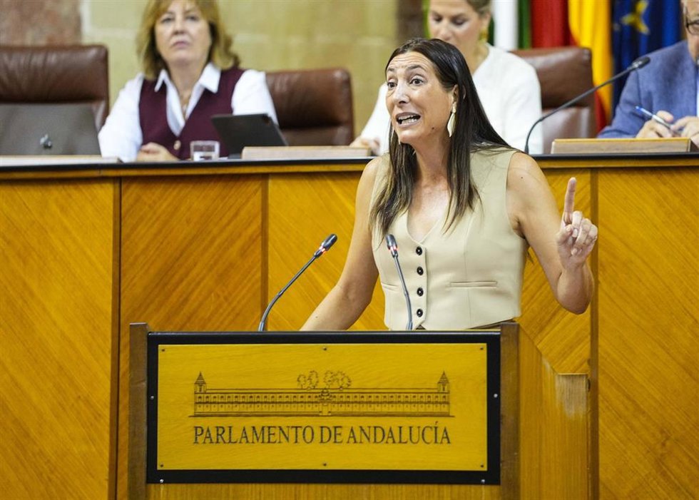 La consejera de Inclusión Social, Juventud, Familias e Igualdad, Loles López, en el Pleno del Parlamento andaluz. (Foto de archivo).