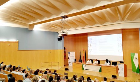 Es Andalucía - Sevilla