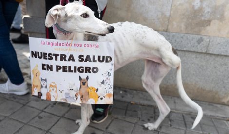 Sociedad