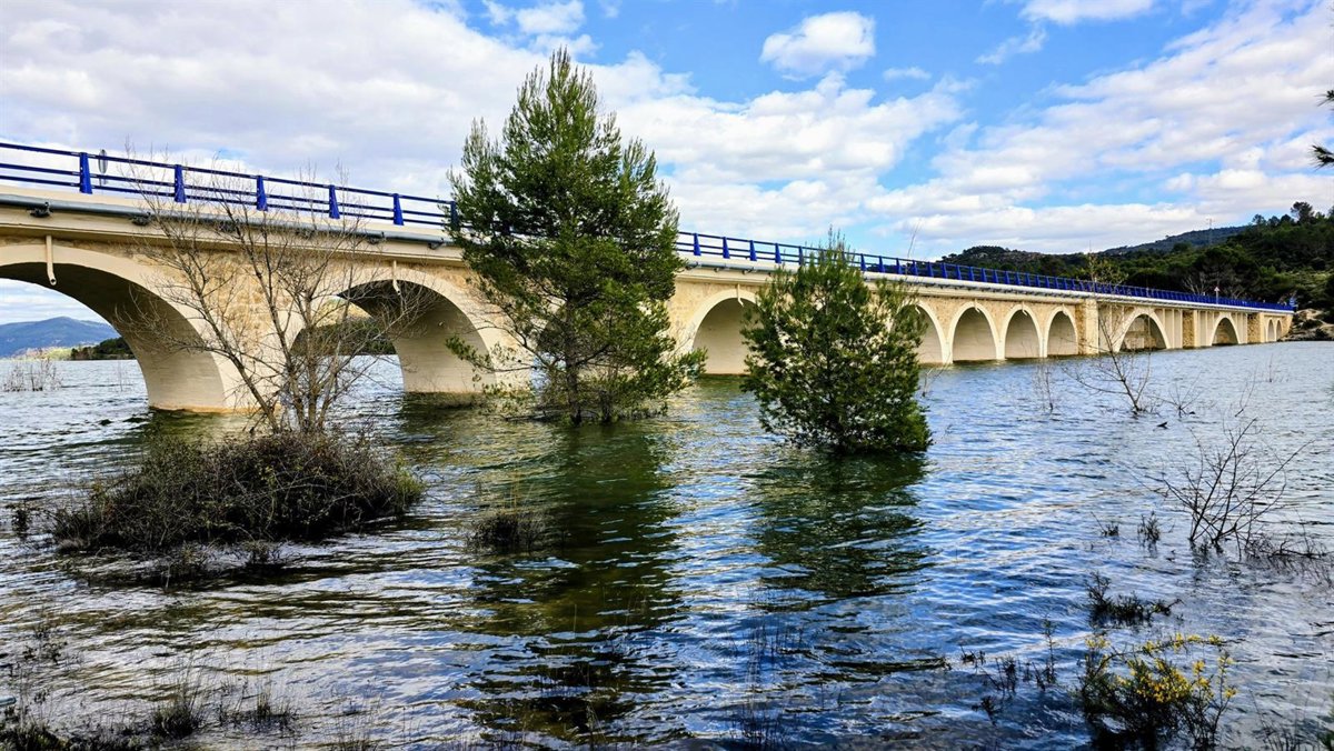 Ribereños celebran que el Supremo  avale  los caudales ecológicos del Tajo y desestime el recurso de Murcia