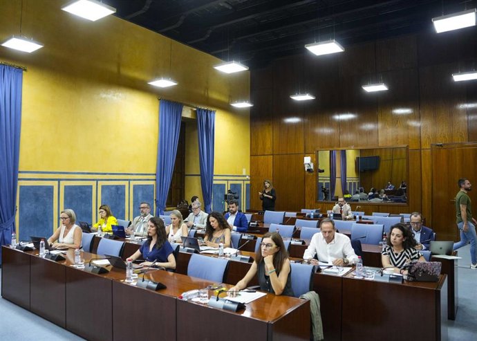 Archivo - Diputados en la comisión sobre Derechos y Atención a Personas con Discapacidad del Parlamento andaluz. (Foto de archivo).