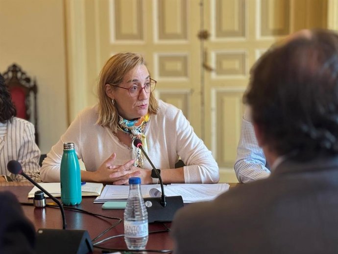 La portavoz de VTLP, Rocío Anguita