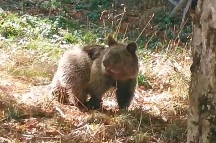 Vídeo de la noticia