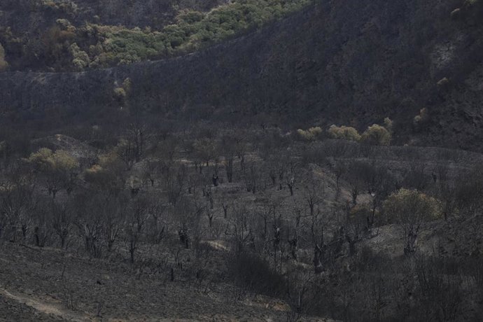 Archivo - Zonas calcinadas en el Parque de Las Médulas, a 27 de agosto de 2025, en Carucedo, León, Castilla y León (España).