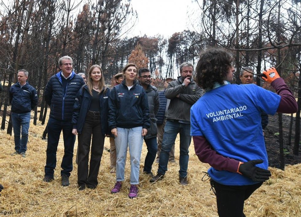 La conselleira de Medio Ambiente, Ángeles Vázquez, visita una acción de voluntariado en Cualedro (Ourense), a 25 de octubre de 2025.