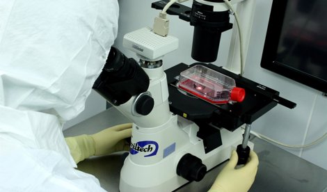 Es Andalucía - Sevilla