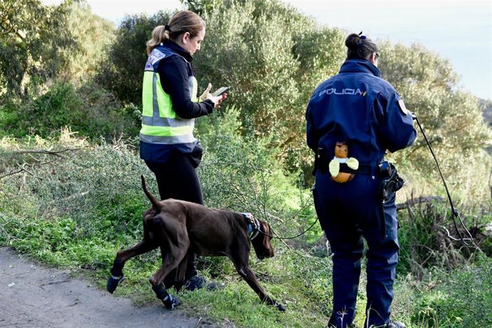 Archivo - Un perro de la Unidad Canina de Rescate, foto de archivo.