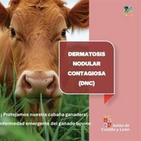 CyL inicia una campaña informativa para reforzar la vigilancia y prevención de la Dermatosis Nodular