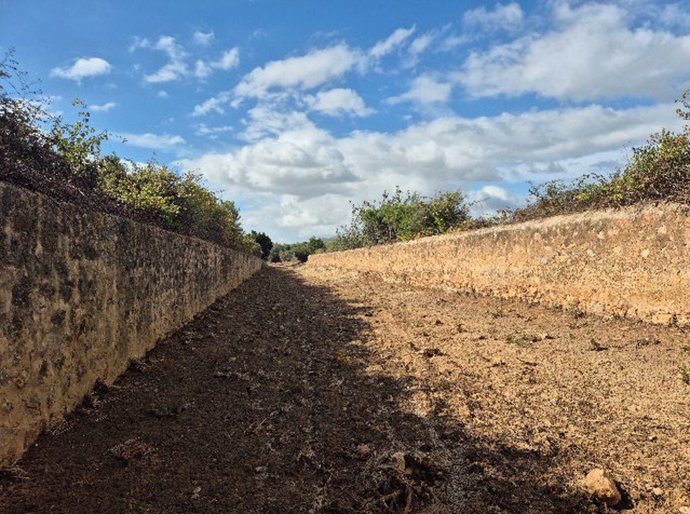 Torrent de Sa Llavanera, Ibiza