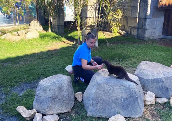 Nutria en Sea Life Benalmádena