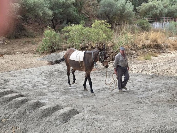 Casabermeja ya tiene hormigonados cuatro badenes que cruzan el río Guadalmedina en el término municipal
