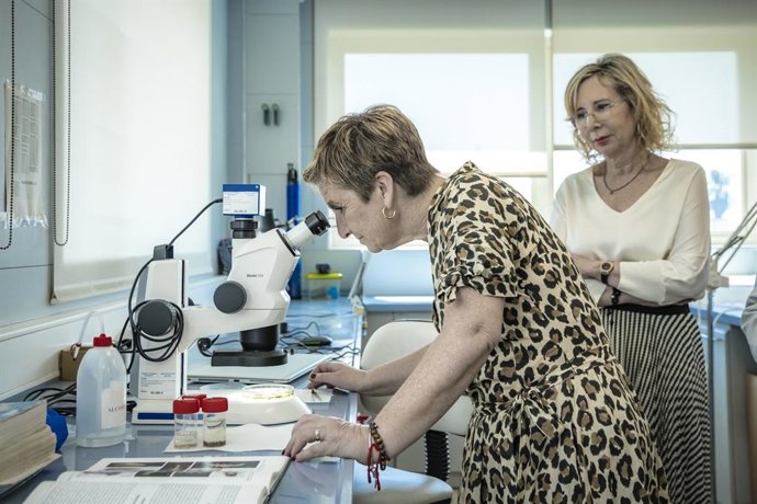 Archivo - La consellera de Innovación, Industria, Comercio y Turismo, Marián Cano, en una imagen de archivo