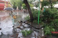 Una docena de avisos al 112 en la provincia de Sevilla por anegación de bajos, calles y caídas de ramas por las lluvias