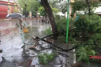 Imagen relacionada