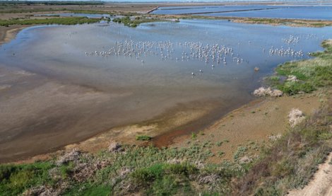 Es Andalucía - Sevilla