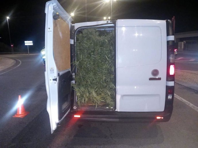 Una furgoneta con plantas de marihuana en su interior interceptada en un control policial