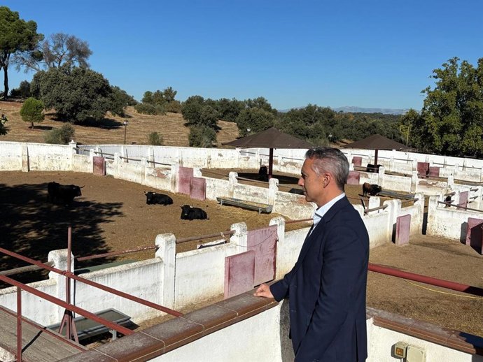 El Consejero De Medio Ambiente, Agricultura E Interior De La Comunidad De Madrid, Carlos Novillo, En La Venta Del Batán