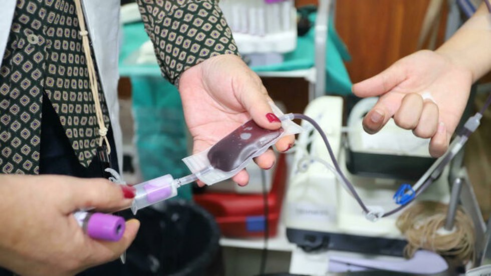 Archivo - Donación de sangre.