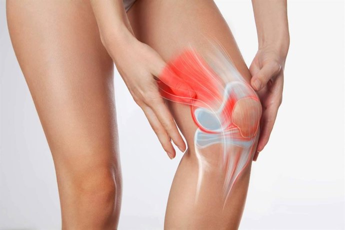 Tododol de Bioserum; una alternativa natural para el bienestar muscular y articular