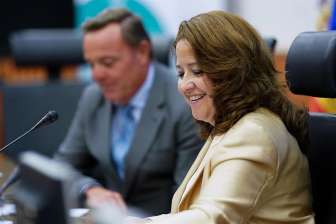 Archivo - La consejera de Sanidad de la Comunidad de Madrid, Fátima Matute.