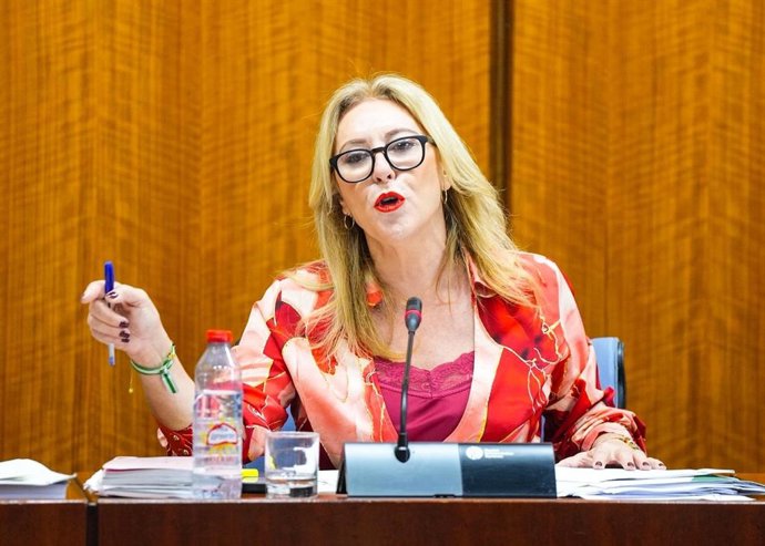 La consejera de Economía, Carolina España, este lunes durante su comparecencia parlamentaria en comisión.