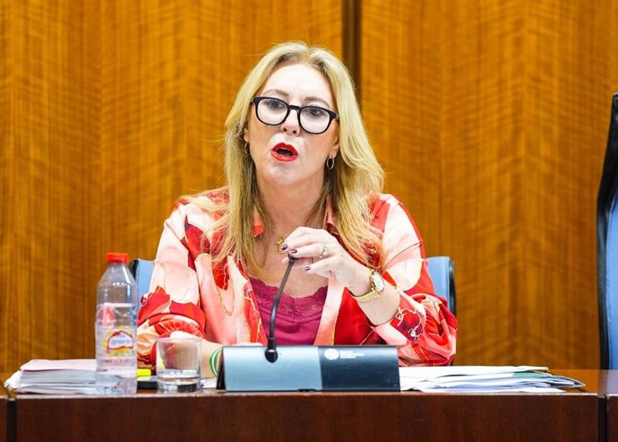 La consejera de Economía, Carolina España, este lunes durante su comparecencia en comisión en el Parlamento.