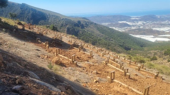 Trabajos de restauración ambiental en terrenos mineros del paraje El Segundo, en el término municipal de Berja (Almería).