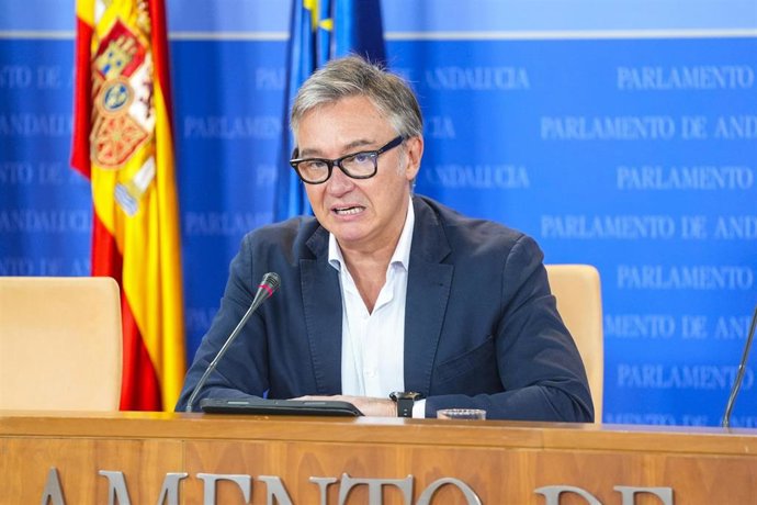 El portavoz del Grupo Parlamentario Vox, Manuel Gavira (Fotografía de archivo)