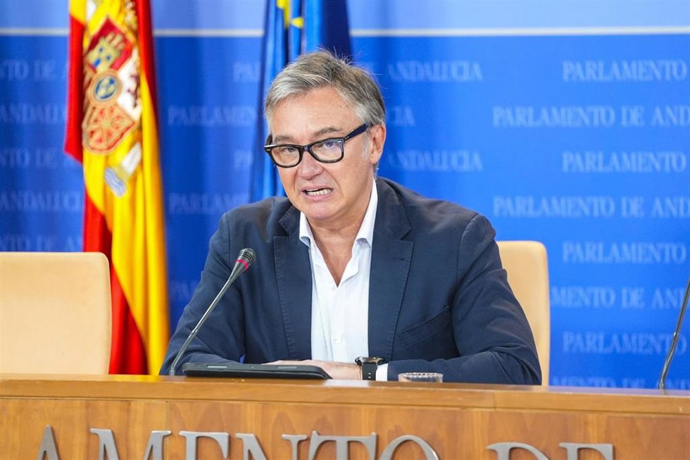 El portavoz del Grupo Parlamentario Vox, Manuel Gavira (Fotografía de archivo)